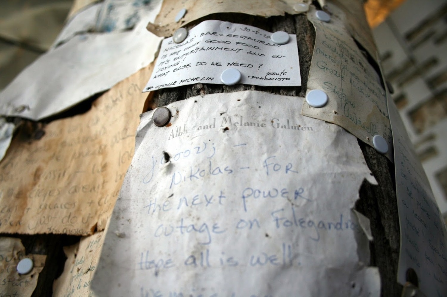 Thank you notes pined on various boards and trees at Nicola's café