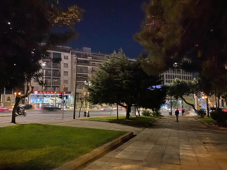 The “one night grove” - What is it and why is it called like that? The “one night grove” - What is it and why is it called like that?