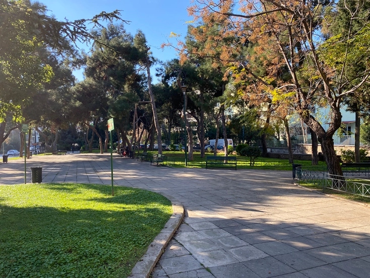 The “one night grove” What is it and why is it called like that? BestofAthens.gr